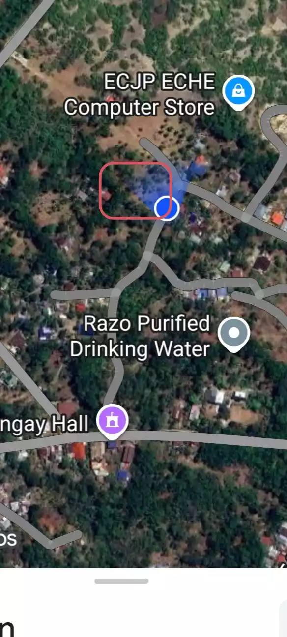 For sale: Residential lot in Montaña,Baclayon — Residential Lot in Montana, Baclayon, Bohol — Photo 2
