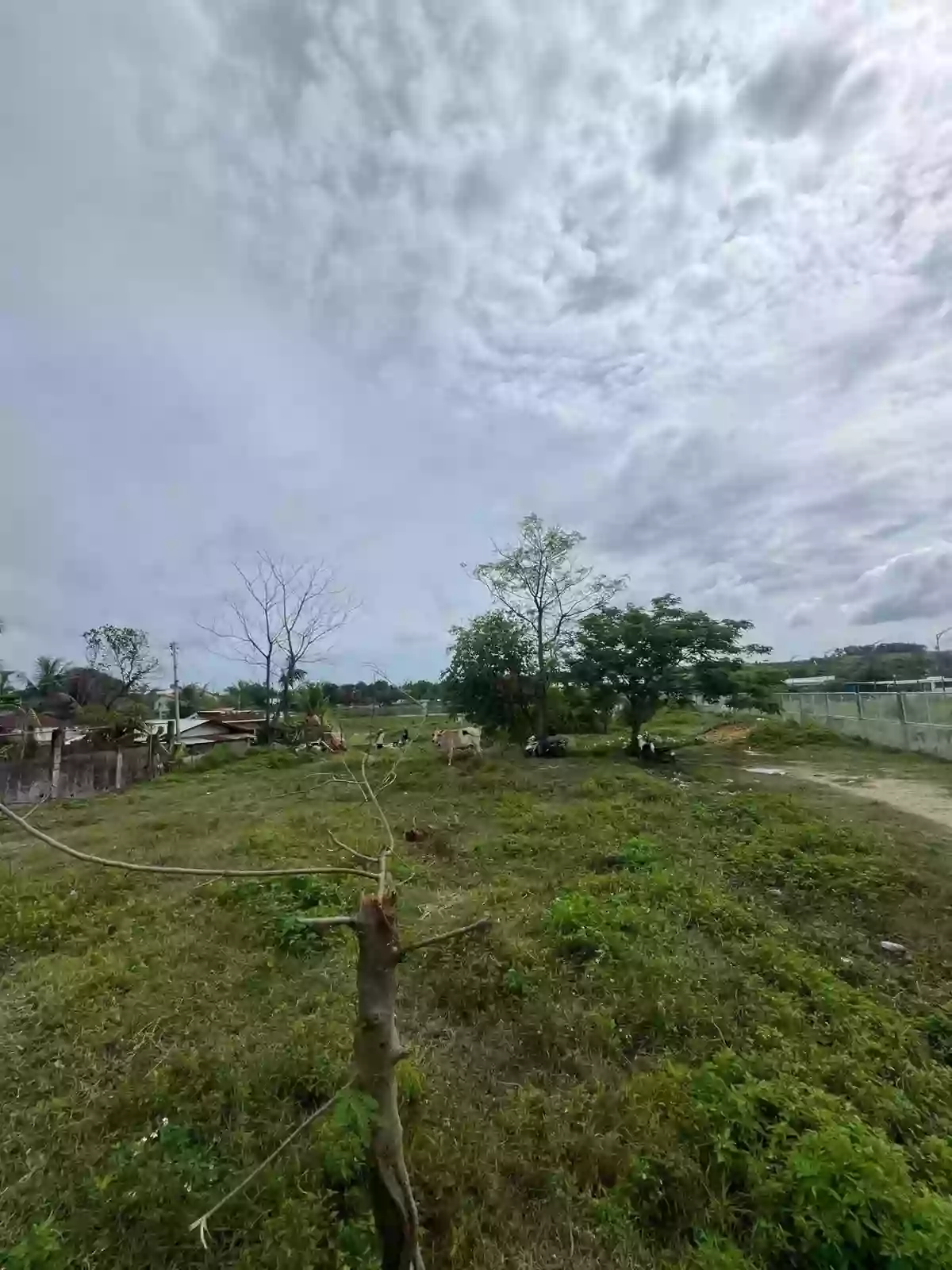 ‼️ LOT FOR SALE – TAYUD, LILOAN, CEBU ‼️ — Residential Lot in Liloan, Cebu, 6002 — Photo 2