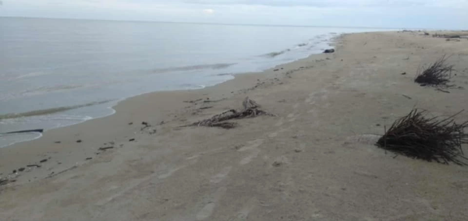 For Sale: Beach Lot in Rizal, Roxas Palawan — 3500 sqm — Beach Lot in Roxas, Palawan, 5308 — Photo 2