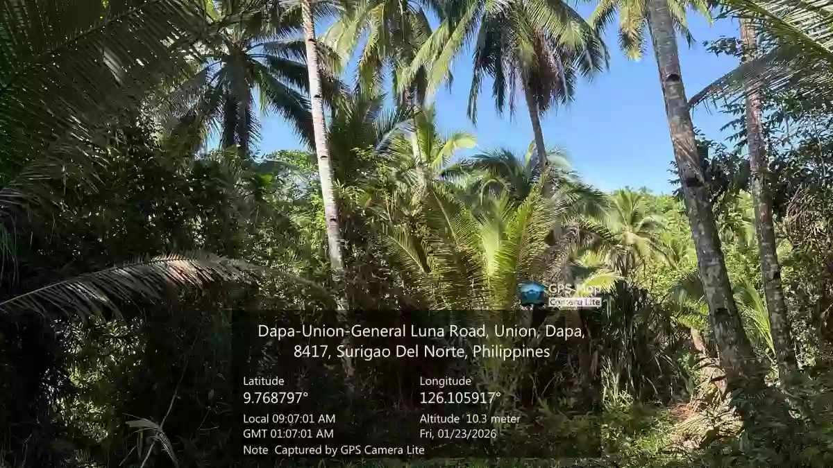 For Sale: Agricultural Lot in Malinao, Gen. Luna — 68000 sqm — Agricultural Lot in Gen. Luna, Surigao del Norte, 8419 — Photo 3