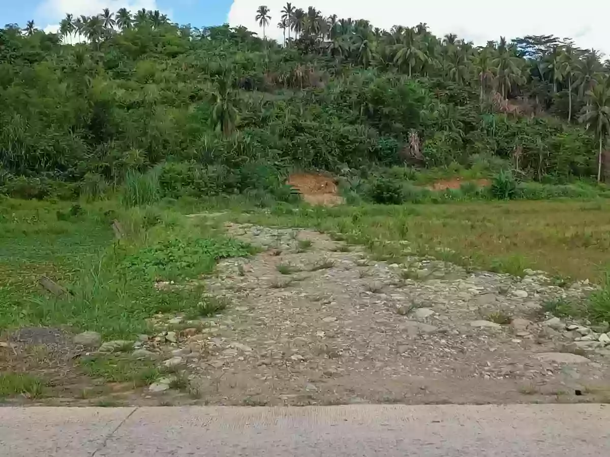 For Sale: Agricultural Lot in Serna, Surigao City — 12748 sqm — Agricultural Lot in Surigao City, Surigao del Norte, 8400 — Photo 2