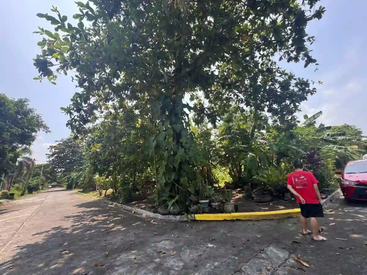 633 SQM Corner Lot For Sale at Executive Village, Carmela Valley Homes Subd. Talisay.. — Residential Lot in Zone 12 (Pob.), Talisay, Negros Occidental — Photo 3