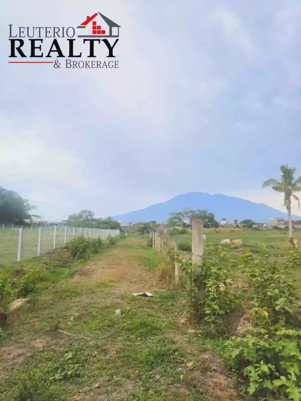 For Sale: 6,239 Farm Lot in Pacol, Naga City — Agricultural Lot in Naga City, Camarines Sur, 4400 — Photo 2