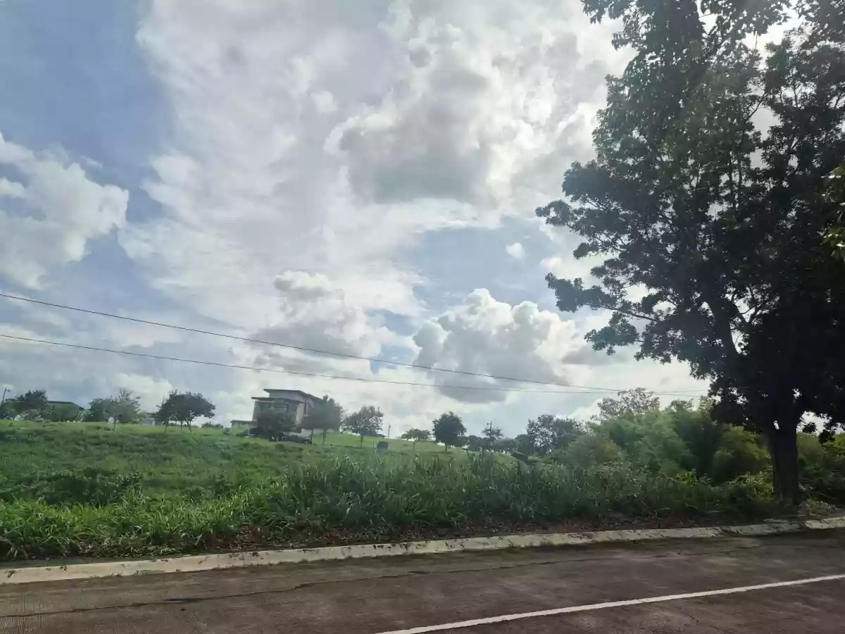 For Sale: Prime Residential Lot in Manila Southwoods Residential Estates — Residential Lot in Carmona, Cavite, 4116 — Photo 2