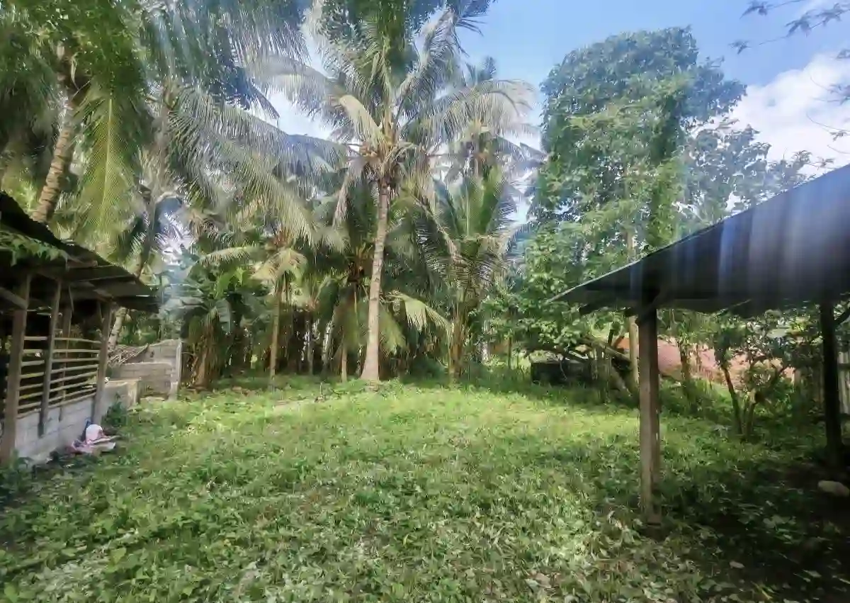 1000sq. Prime Lot near UST & Mc Dogensan — Residential Lot in Ligaya, General Santos City, South Cotabato — Photo 7