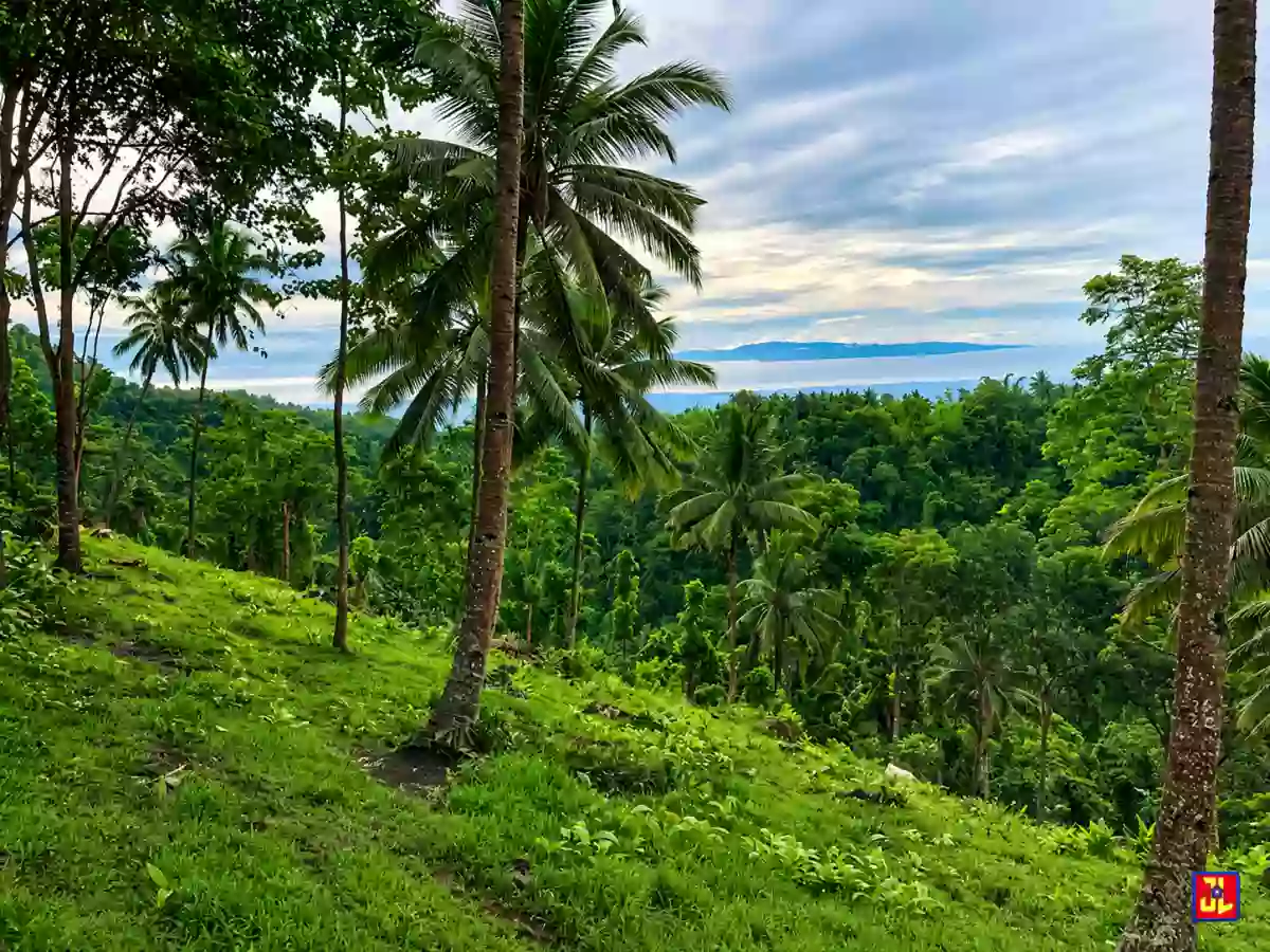 For Sale: 2,514sqm Overlooking Lot in Sagbang, Valencia, Negros Oriental [available] — Residential Lot in Valencia, Negros Oriental, 6215 — Photo 5