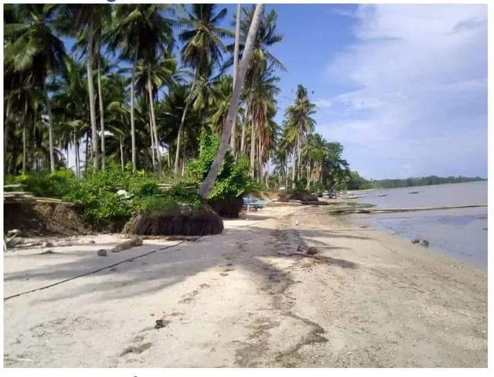 For Sale: Beach Lot in Lucbuan, Puerto Princesa City — 195329 sqm — Beach Lot in Puerto Princesa City, Palawan, 5300 — Photo 7