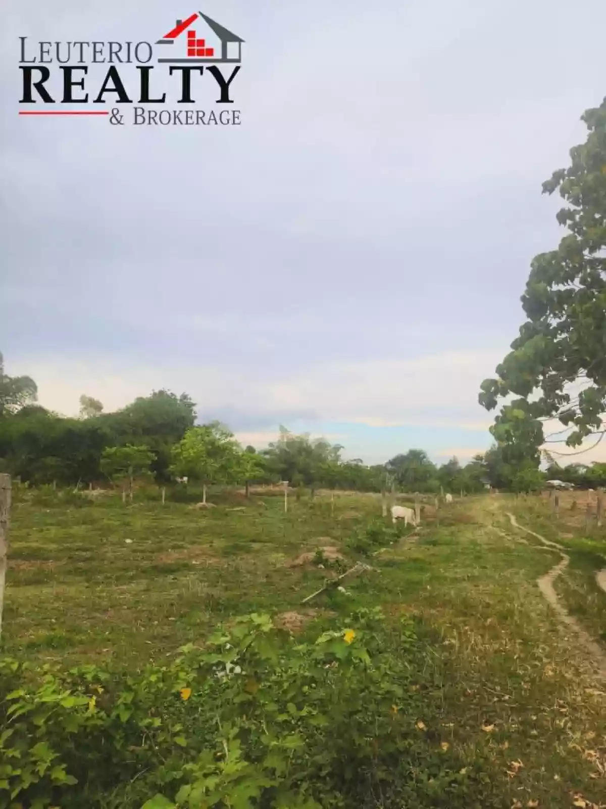 For Sale: 6,239 Farm Lot in Pacol, Naga City — Agricultural Lot in Naga City, Camarines Sur, 4400 — Photo 3