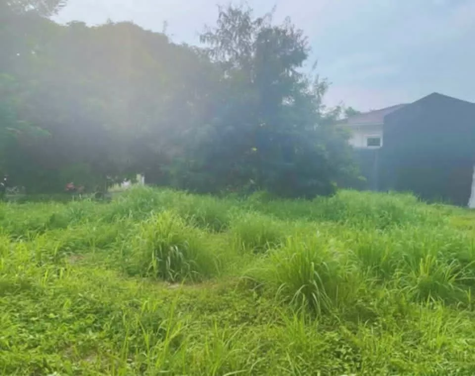 For Sale: Residential Lot in Aniban I, Bacoor — 482 sqm — Residential Lot in Aniban I, Bacoor, Cavite — Photo 3