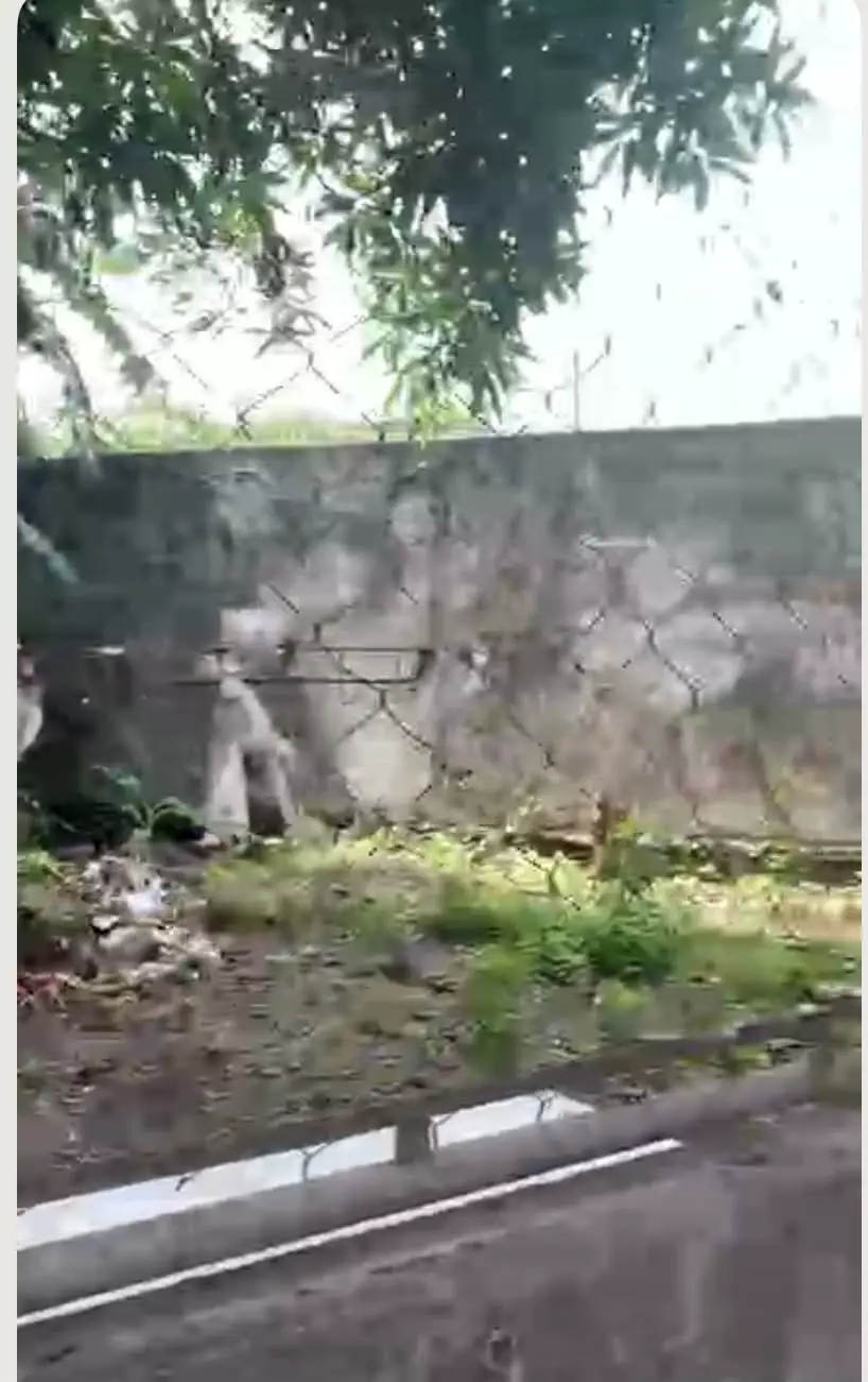 Commercial Lot For Sale 2,000 sqm. — Commercial Lot in Plaridel, Bulacan, 3004 — Photo 3