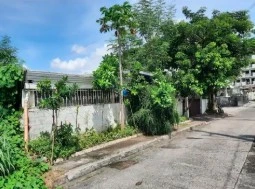 For Sale: Residential Lot in Sun Valley, Paranaque City — 396 sqm — Residential Lot in Paranaque City, Metro Manila, 1702 — Photo 5