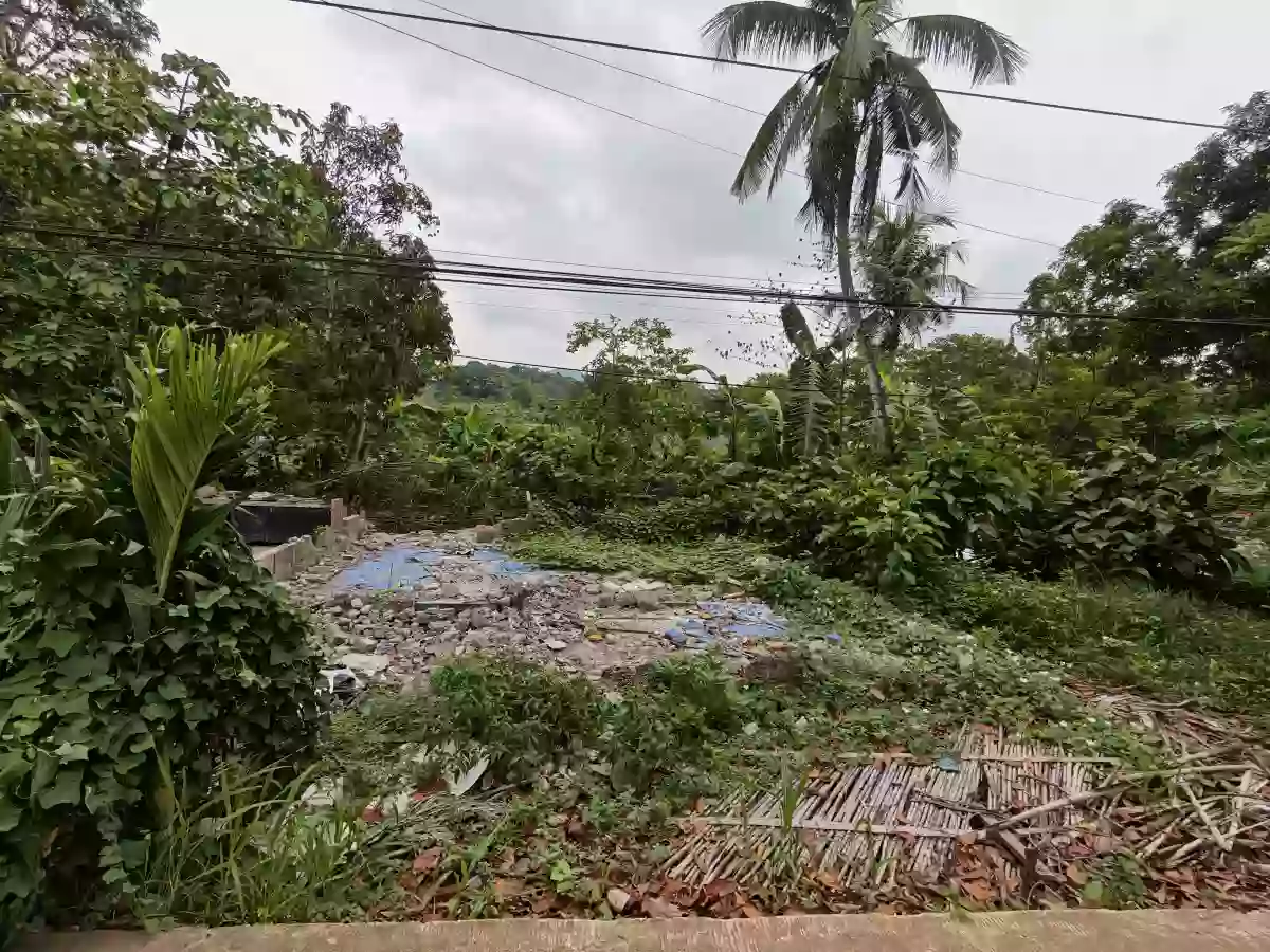 Agricultural Lot for Sale in Santa Lourdes, Puerto Princesa City — Investor Land — Agricultural Lot in Santa Lourdes, Puerto Princesa City, Palawan — Photo 4