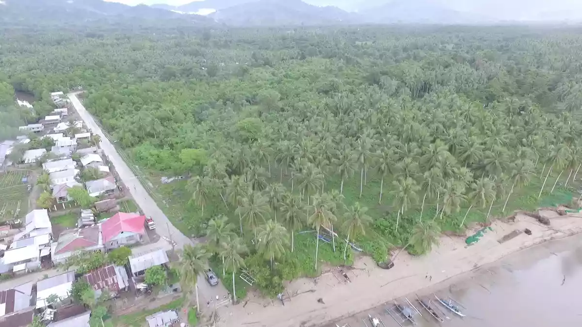 For Sale: Beach Lot in Lucbuan, Puerto Princesa City — 195329 sqm — Beach Lot in Puerto Princesa City, Palawan, 5300 — Photo 2