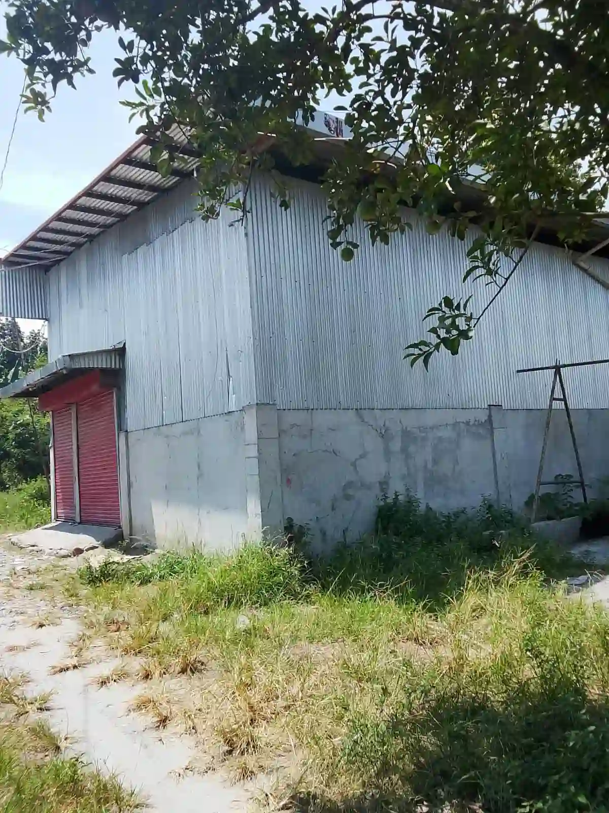 For Sale: Warehouse Near SKSU-Isulan Gymnasium, Isulan — 303 sqm Lot — Warehouse in Isulan, Sultan Kudarat, 9805 — Photo 2