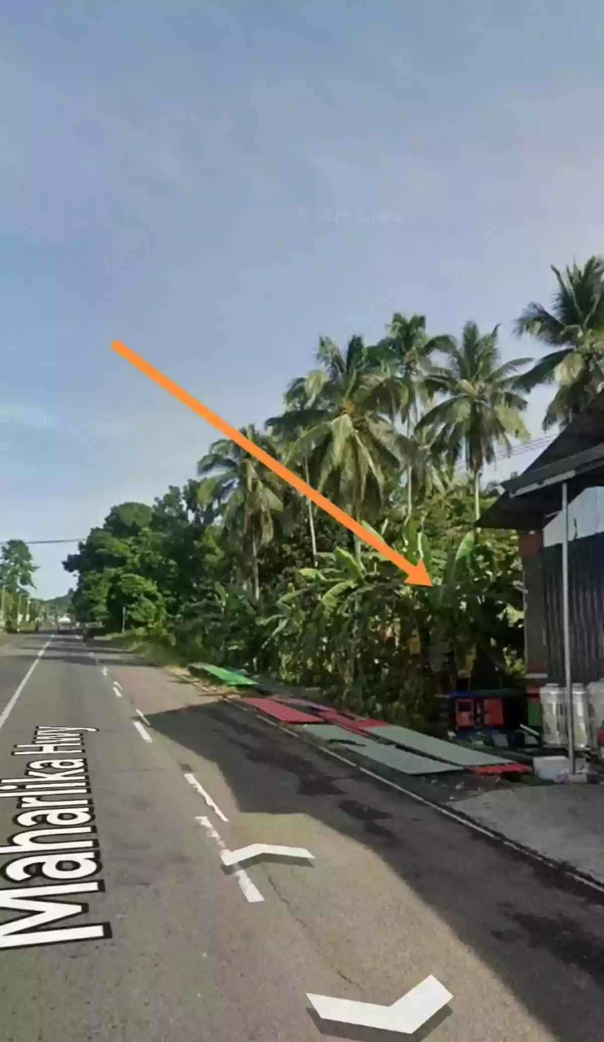 4500 sqm , commercial lot ,fronting national road — Commercial Lot in Pagadian City, Zamboanga del Sur, 7016 — Photo 6