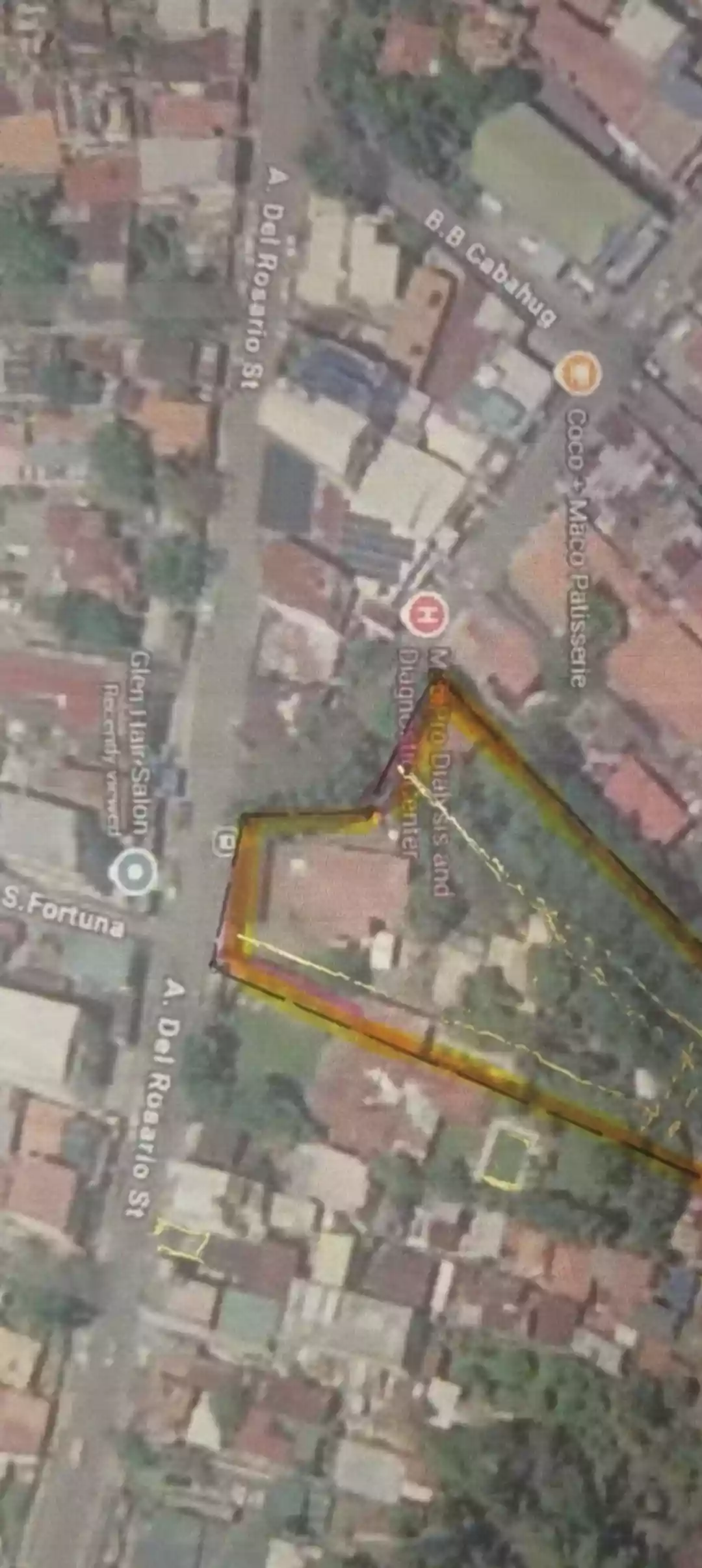 For Sale: Commercial Lot in Guizo, Mandaue City — 2353 sqm — Commercial Lot in Guizo, Mandaue City, Cebu — Photo 2