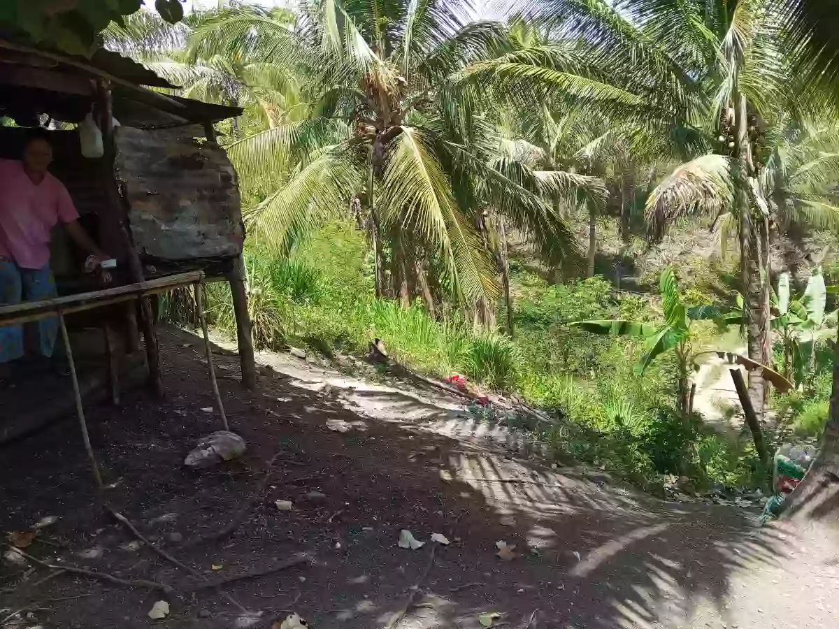 Farm lot for sale — Agricultural Lot in Alabel, Pag-Asa, Alabel — Photo 4