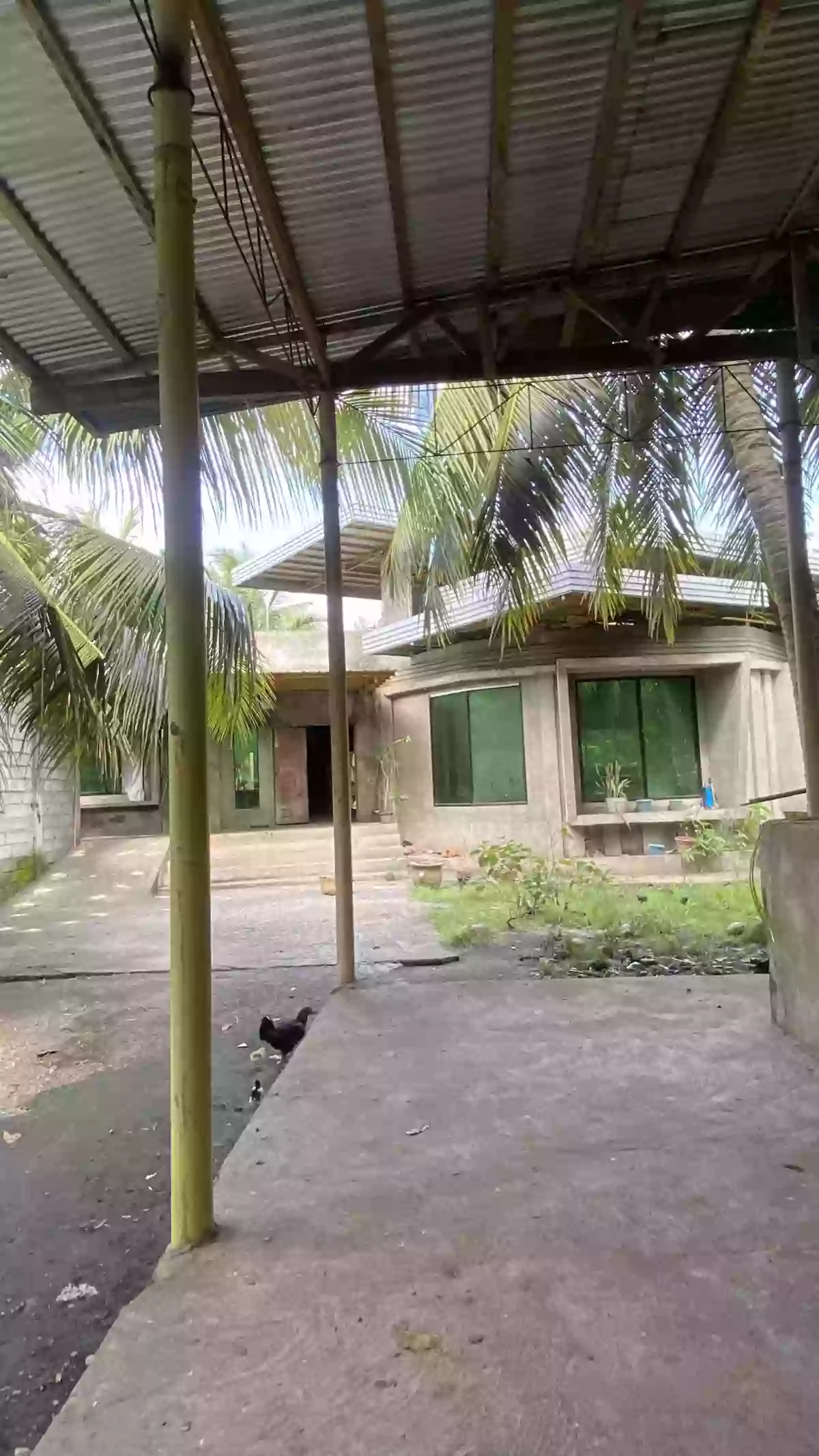 Rush Sale: 5BR House and Lot in Katangawan, General Santos City 3013 sqm — House and Lot in Katangawan, General Santos City, South Cotabato — Photo 2