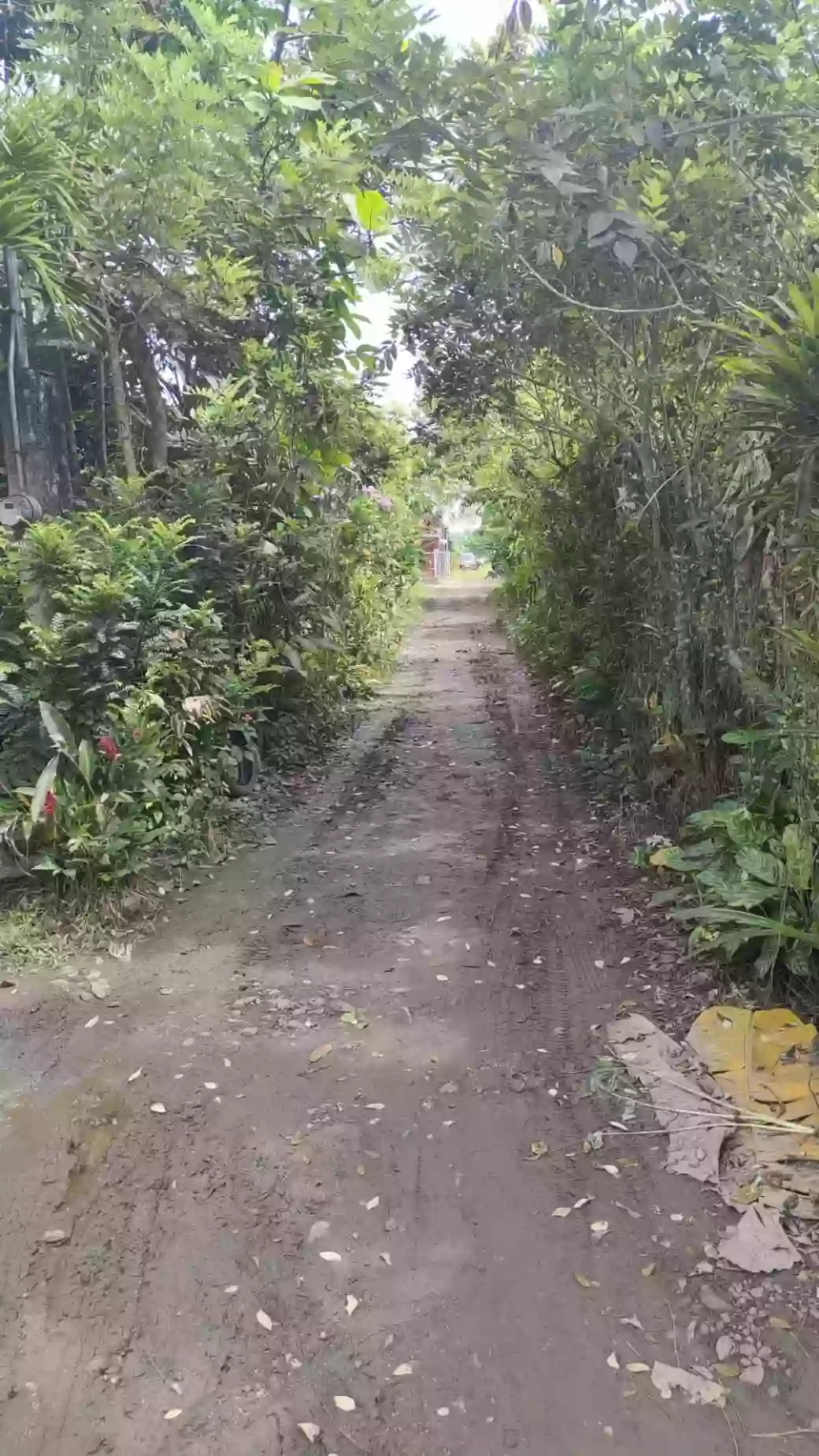 For Sale: Agricultural Lot Near Gaisano Grand Calinan, Davao City — 2000 sqm — Agricultural Lot in Calinan (Pob.), Davao City, Davao del Sur — Photo 4