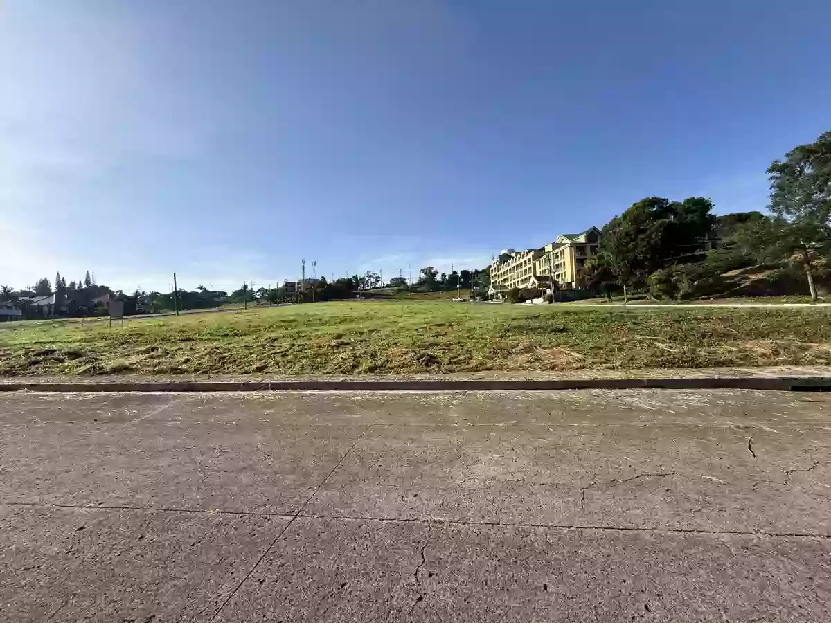 For Sale: Buck Estate Commercial Lot in Alfonso — 5592 sqm Investment — Space in Buck Estate, Alfonso, Cavite — Photo 5