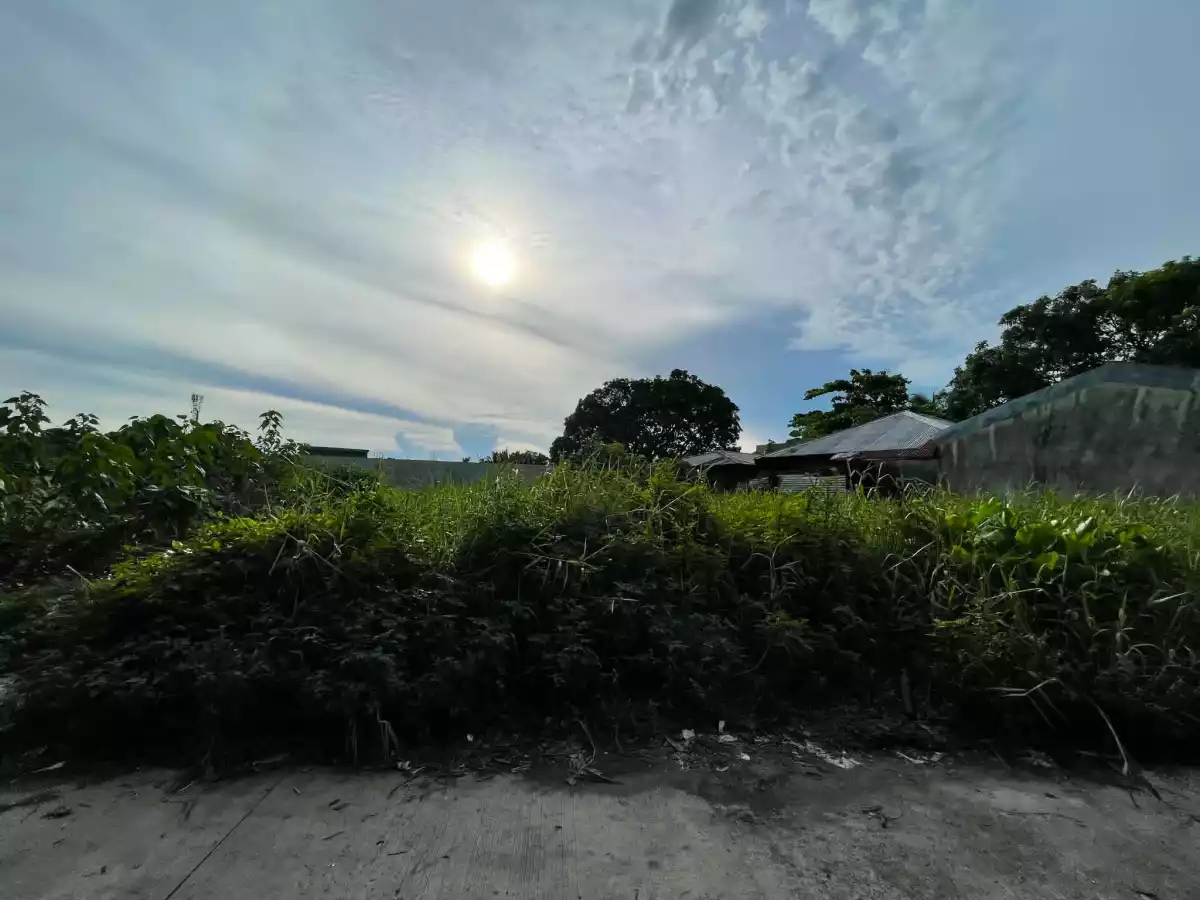 For Rent: Commercial Lot in Pahanocoy, Bacolod City — 330 sqm — Commercial Lot in Pahanocoy, Bacolod City, Negros Occidental — Photo 4