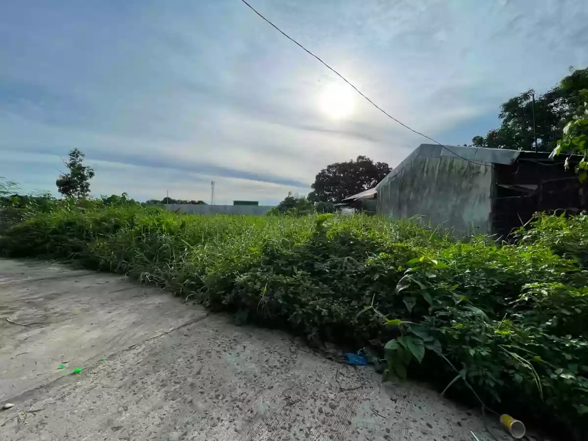 For Rent: Commercial Lot in Pahanocoy, Bacolod City — 330 sqm — Commercial Lot in Pahanocoy, Bacolod City, Negros Occidental — Photo 3