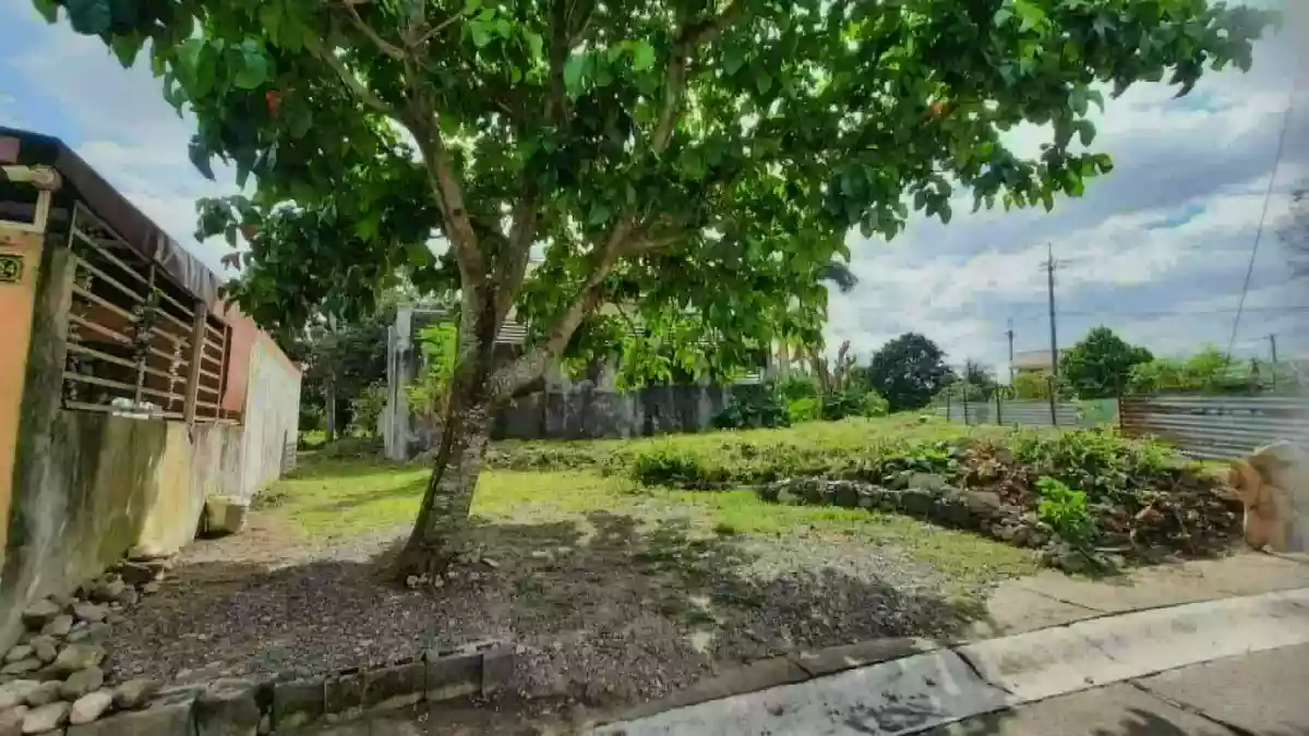 Rush Sale: Residential Lot inside Villagio Ignatius Subd, Gen. Trias, Cavite — Residential Lot in Gen. Trias, Cavite, 4107 — Photo 4