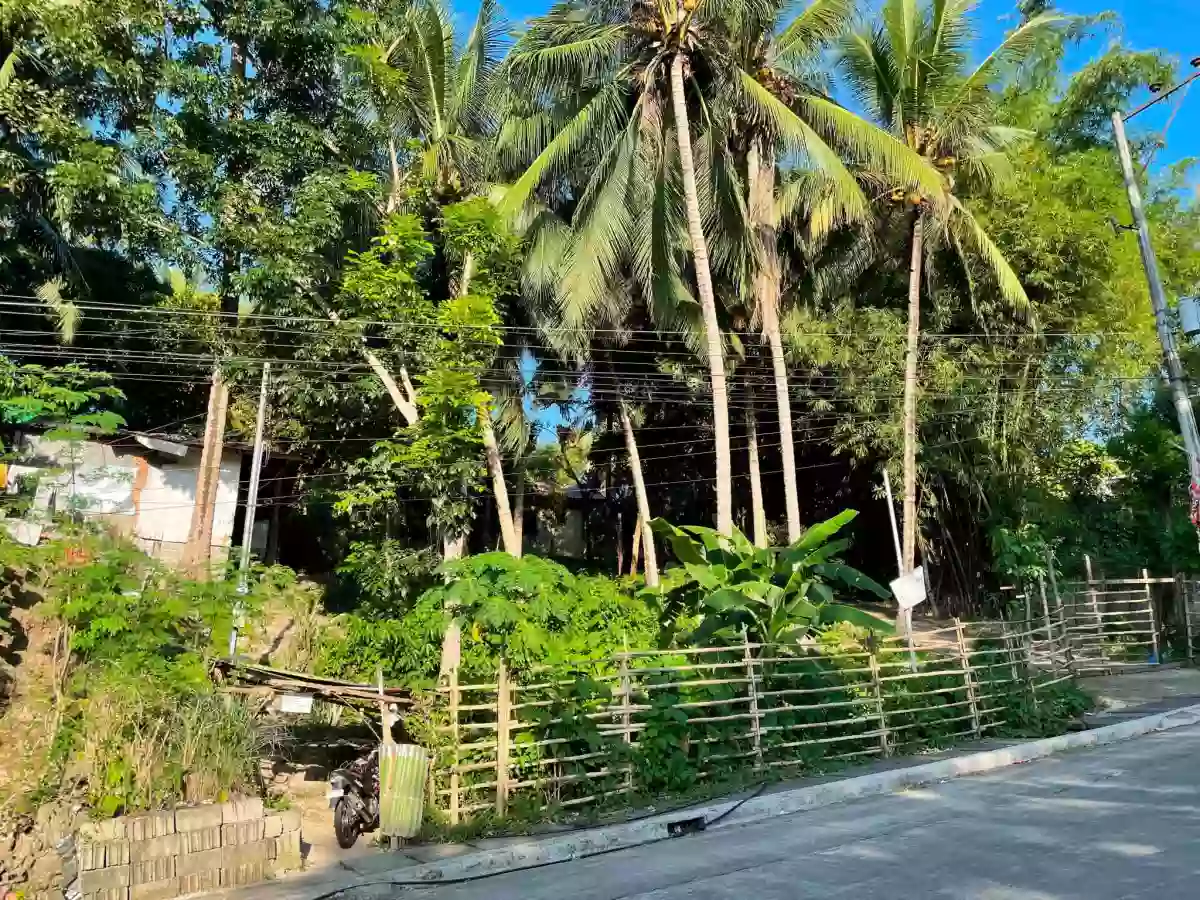 TAGUANAO LOT FOR SALE — Residential Lot in Indahag, Cagayan de Oro City, Misamis Oriental — Photo 2
