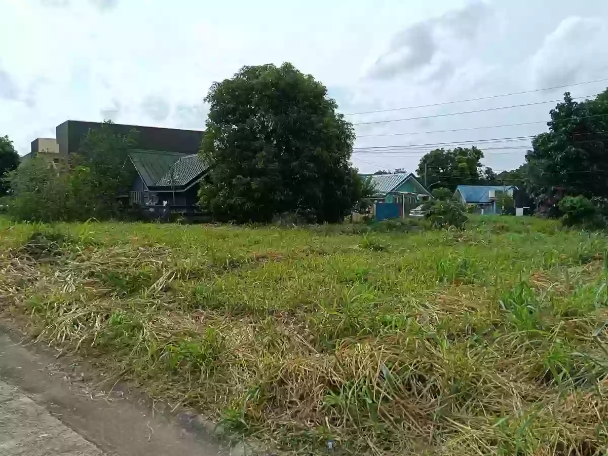 For Sale: Residential Lot in Pacol, Naga City — 125 sqm — Residential Lot in Naga City, Camarines Sur, 4400 — Photo 5