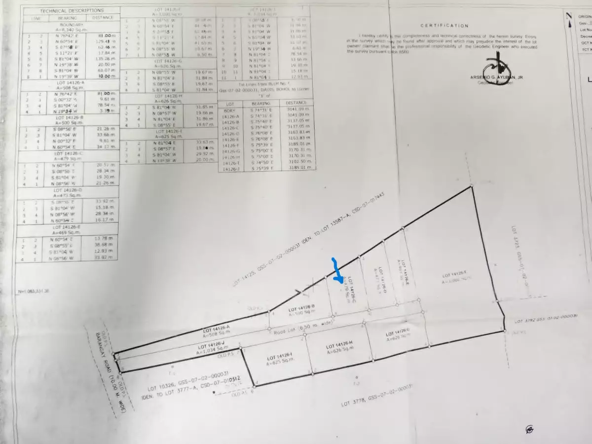 479 sqm Residential Lot for Sale Near Tinago Elementary School, Dauis — Residential Lot in Tinago, Dauis, Bohol — Photo 2