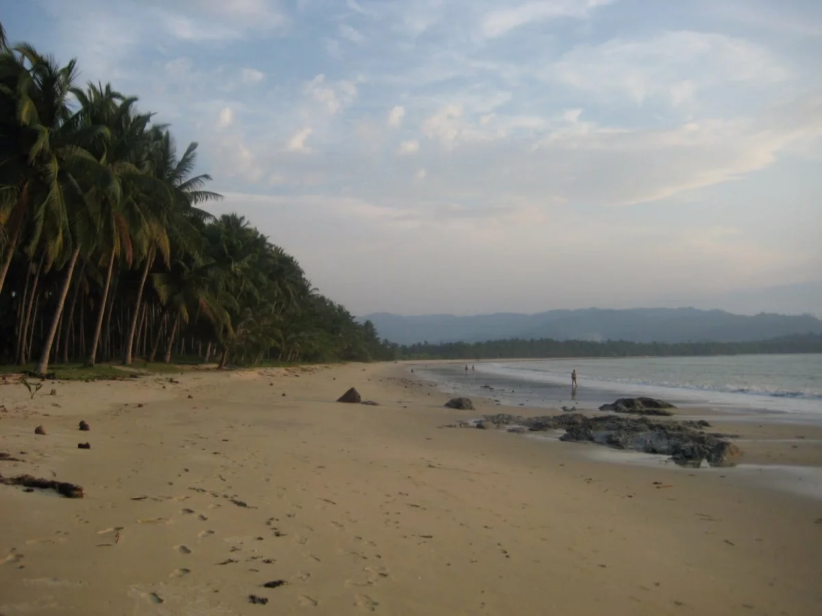 For Sale: Palawan Beach Lot  — 3402 sqm