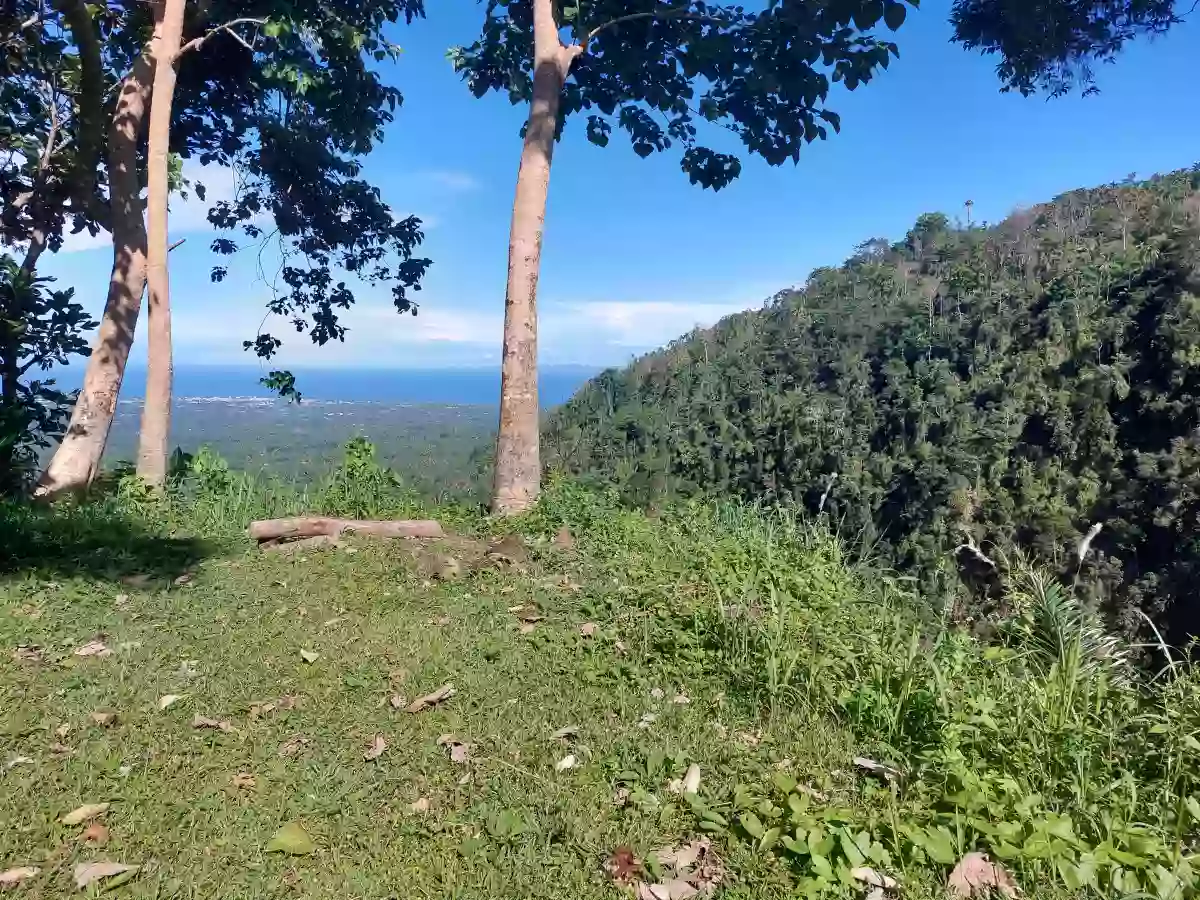 For Sale: Residential Lot in Apolong, Valencia — 1305 sqm — Residential Lot in Valencia, Negros Oriental, 6215 — Photo 2