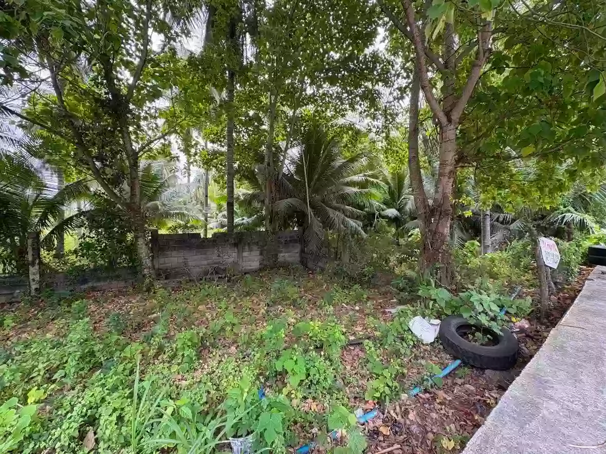 For Sale: Residential Lot in Lutao, Bacung — 400 sqm — Residential Lot in Bacung, Negros Oriental, 6216 — Photo 5