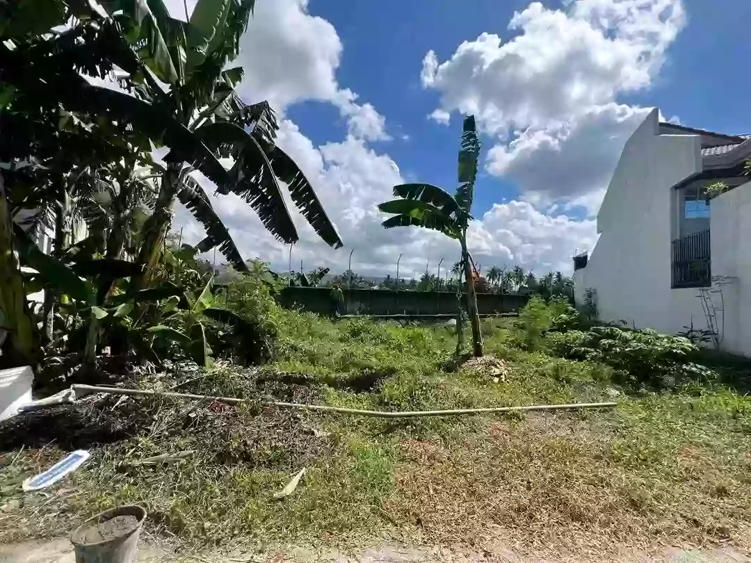 For Sale Residential Lot in Pooc, Talisay City — 328 sqm