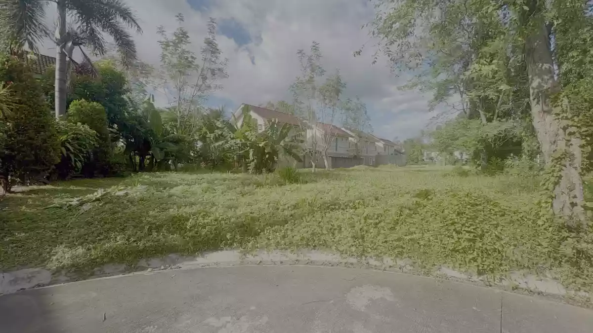 336 sqm Residential Lot For Sale in Panipuan, Mexico, Pampanga