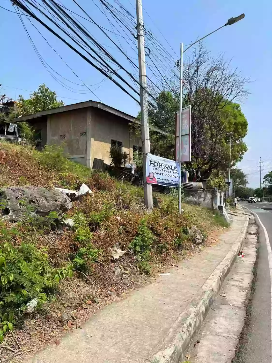 Titled Lot for Sale in Sabang Danao City along National Highway — Commercial Lot in Danao City, Cebu, 6004 — Photo 3