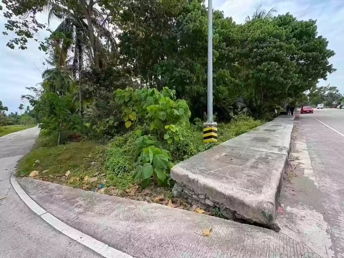 For Sale: Residential Lot in Lutao, Bacung — 400 sqm