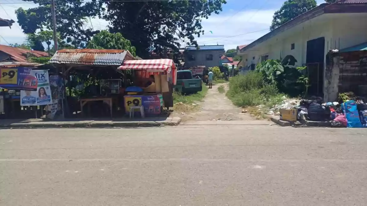 For sale Residential lot in Suba Danao City Investor Ready — Residential Lot in Danao City, Cebu, 6004 — Photo 2