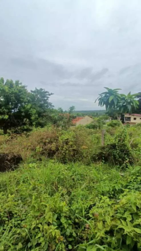 For Sale: Prime Overlooking Lot in Valencia, Negros Oriental/ Dumaguete City - photo 6