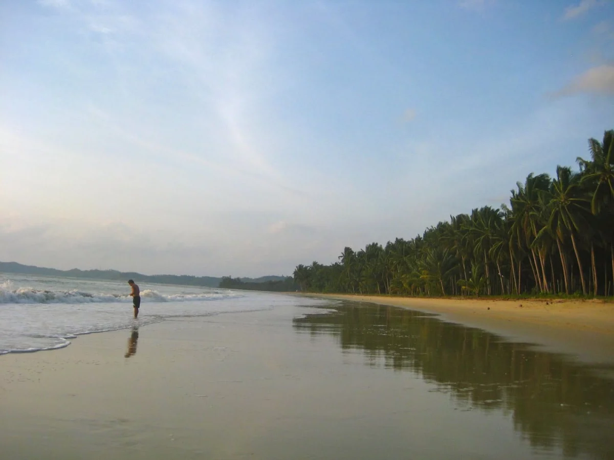 For Sale: Palawan Beach Lot  — 3402 sqm — Beach Lot in Kemdeng, San Vicente, Palawan — Photo 4