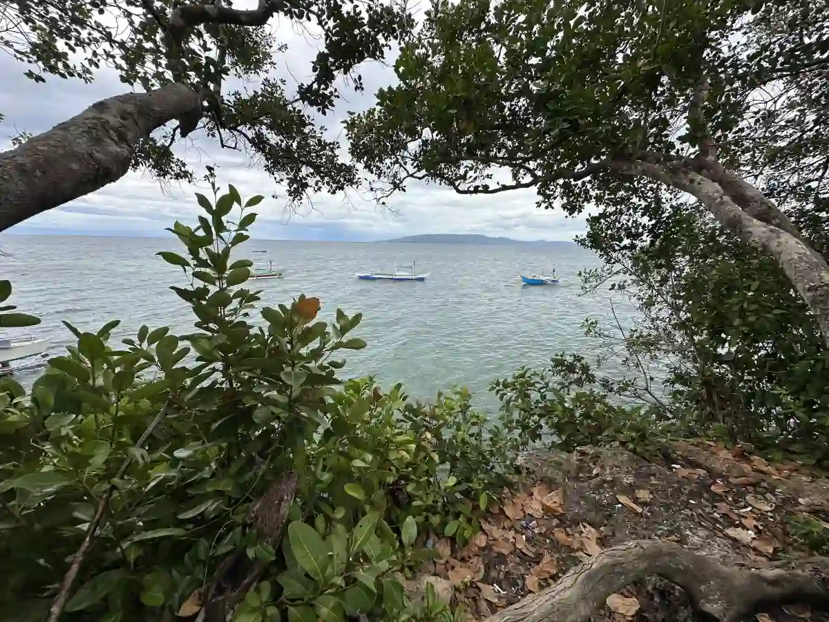 For Sale: 5996 sqm Cliff Beach Lot in Bingag, Dauis — Investment — Beach Lot in Dauis, Bohol, 6339 — Photo 5