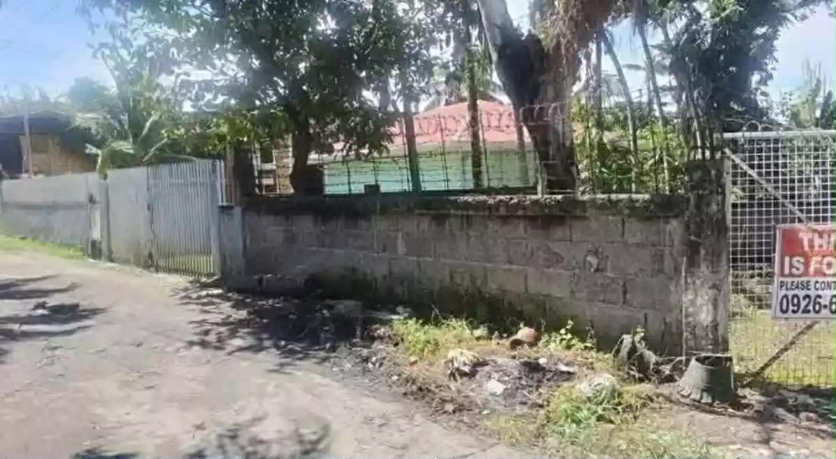 LINAO TALISAY LOT FOR SALE — Residential Lot in Talisay City, Cebu, 6045 — Photo 3