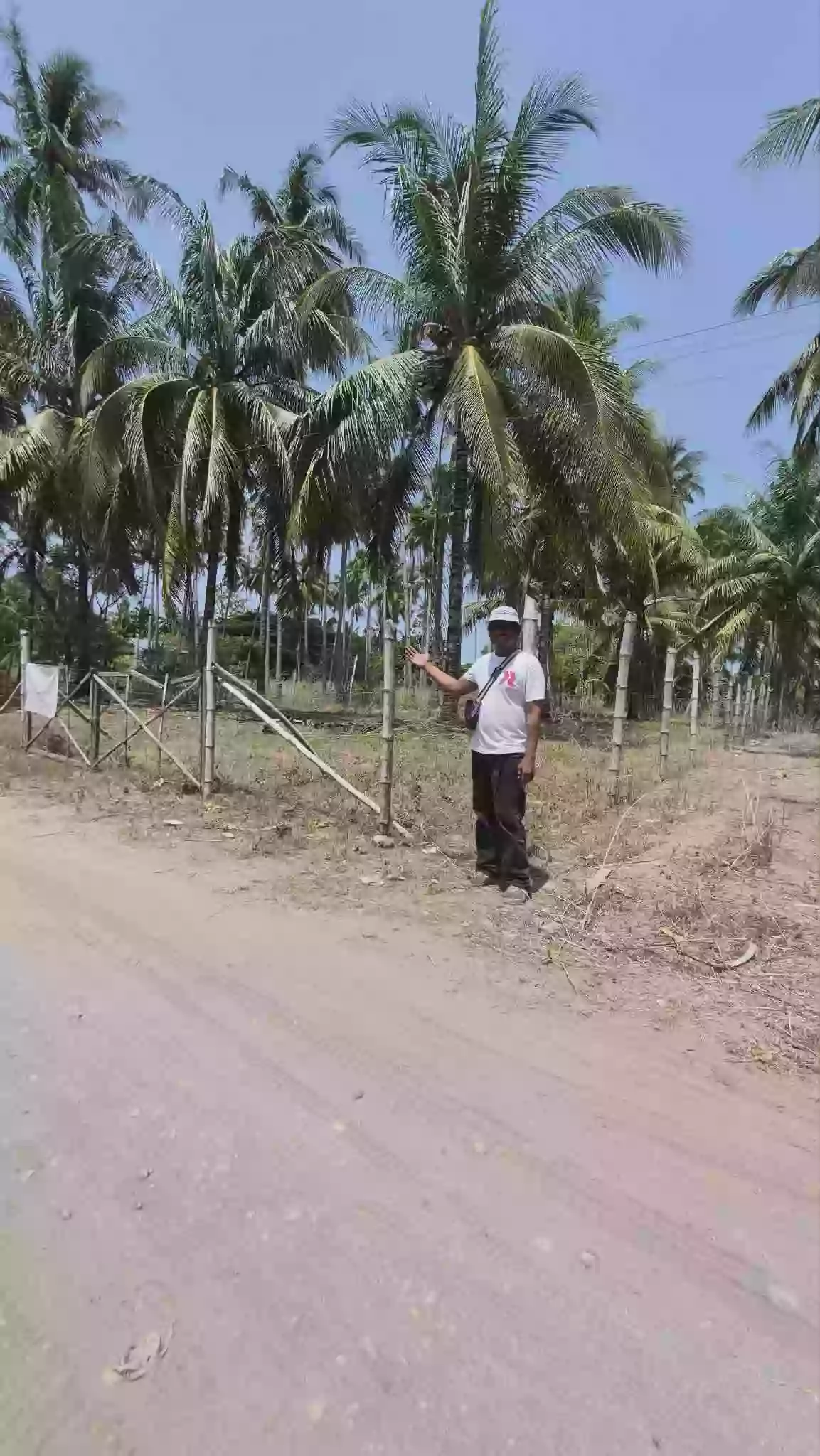 2250 sqm Residential Lot for Sale in Maluay, Zamboanguita — Investment — Residential Lot in Maluay, Zamboanguita, Negros Oriental — Photo 5
