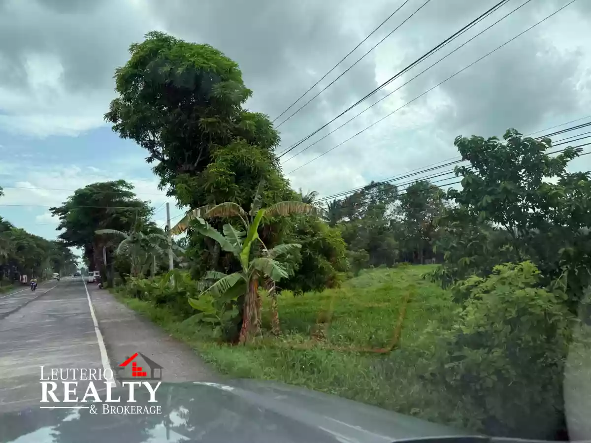 LOT for SALE 2,000 SQM along National Road boundary of Pili & Ocampo — Residential Lot in Pili, Camarines Sur, 4418 — Photo 2