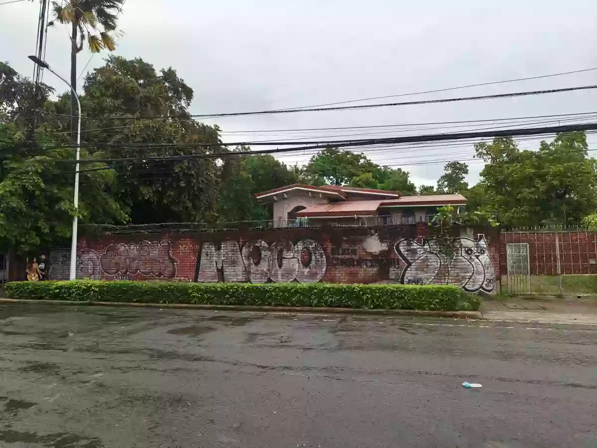 For Sale: Commercial Lot in Guizo, Mandaue City — 2353 sqm — Commercial Lot in Guizo, Mandaue City, Cebu — Photo 5