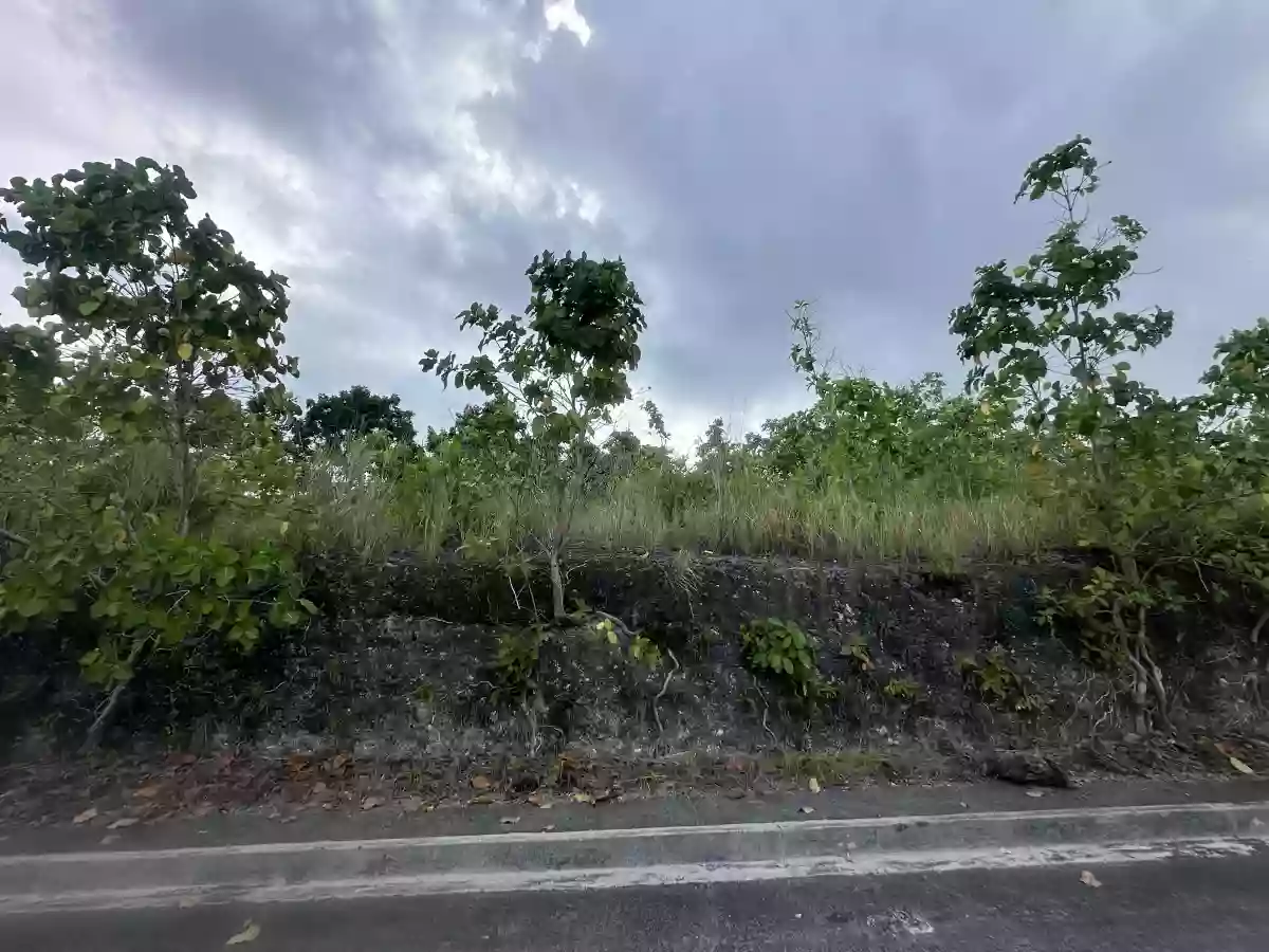 For Sale: 189 sqm Residential Lot Near Vista Grande, Talisay City — Residential Lot in Bulacao, Talisay City, Cebu — Photo 4