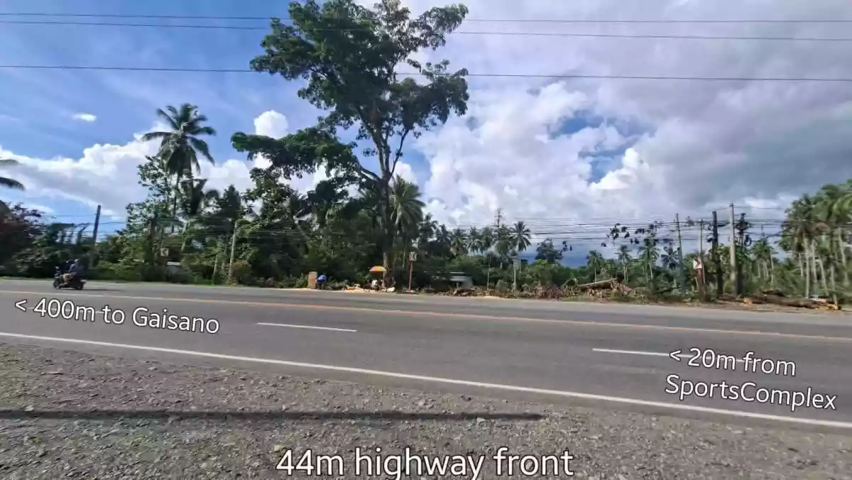 For Sale: 4246 sqm Commercial Lot in Mabini, Cabadbaran City — Commercial Lot in Mabini, Cabadbaran City, Agusan del Norte — Photo 2