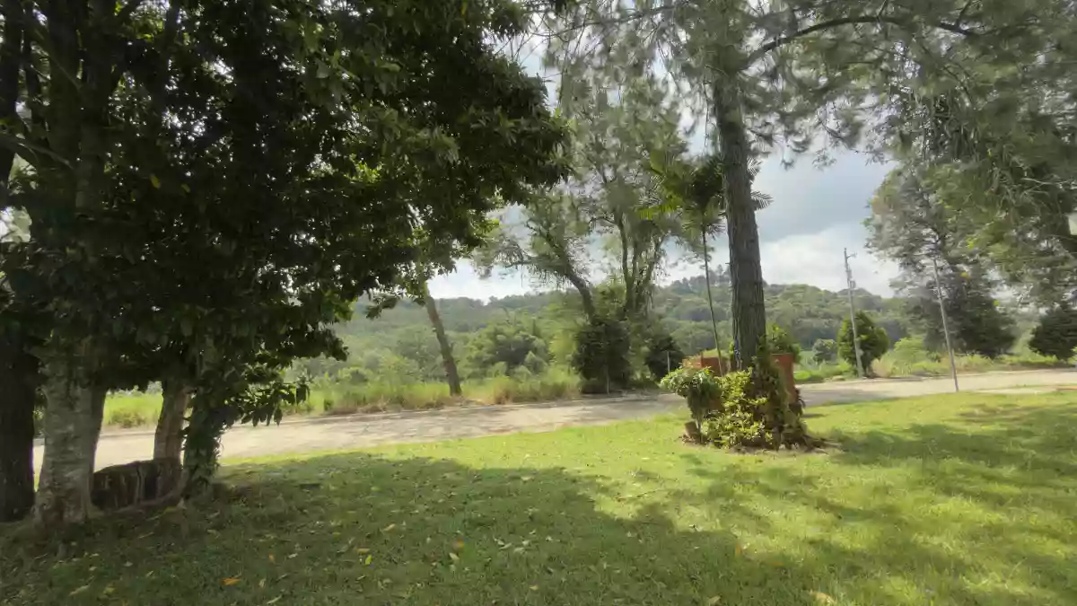 For Sale Menzi Orchard : Residential Lot in Damilag, Manolo Fortich — 524 sqm — Residential Lot in Manolo Fortich, Bukidnon, 8703 — Photo 3