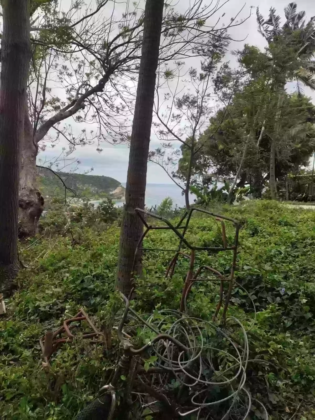 For Sale: Residential Lot in Poblacion, Boljoon, Cebu — Residential Lot in Boljoon, Cebu, 6024 — Photo 4