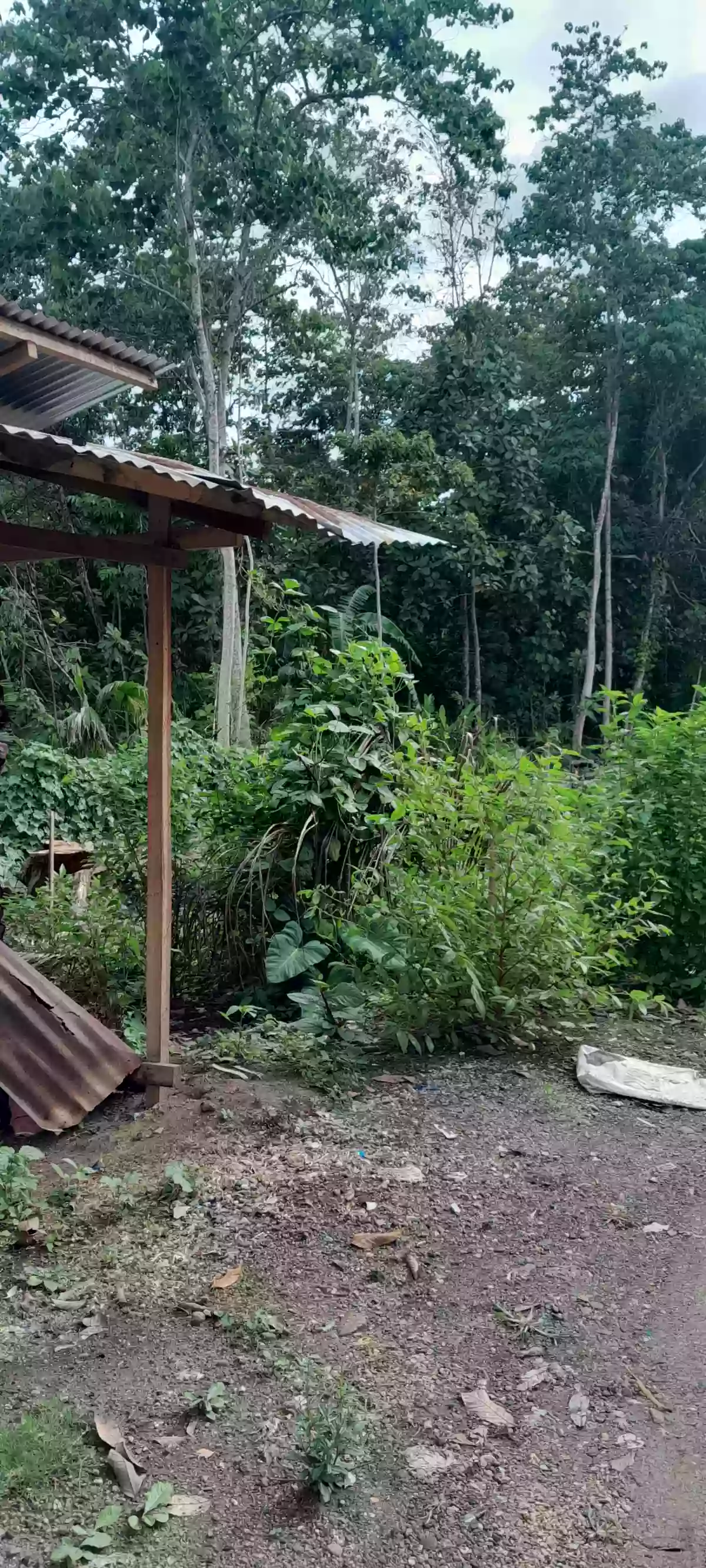 For Sale: Residential Lot in Singao, Kidapawan City — 400 sqm — Residential Lot in Singao, Kidapawan City, Cotabato — Photo 6